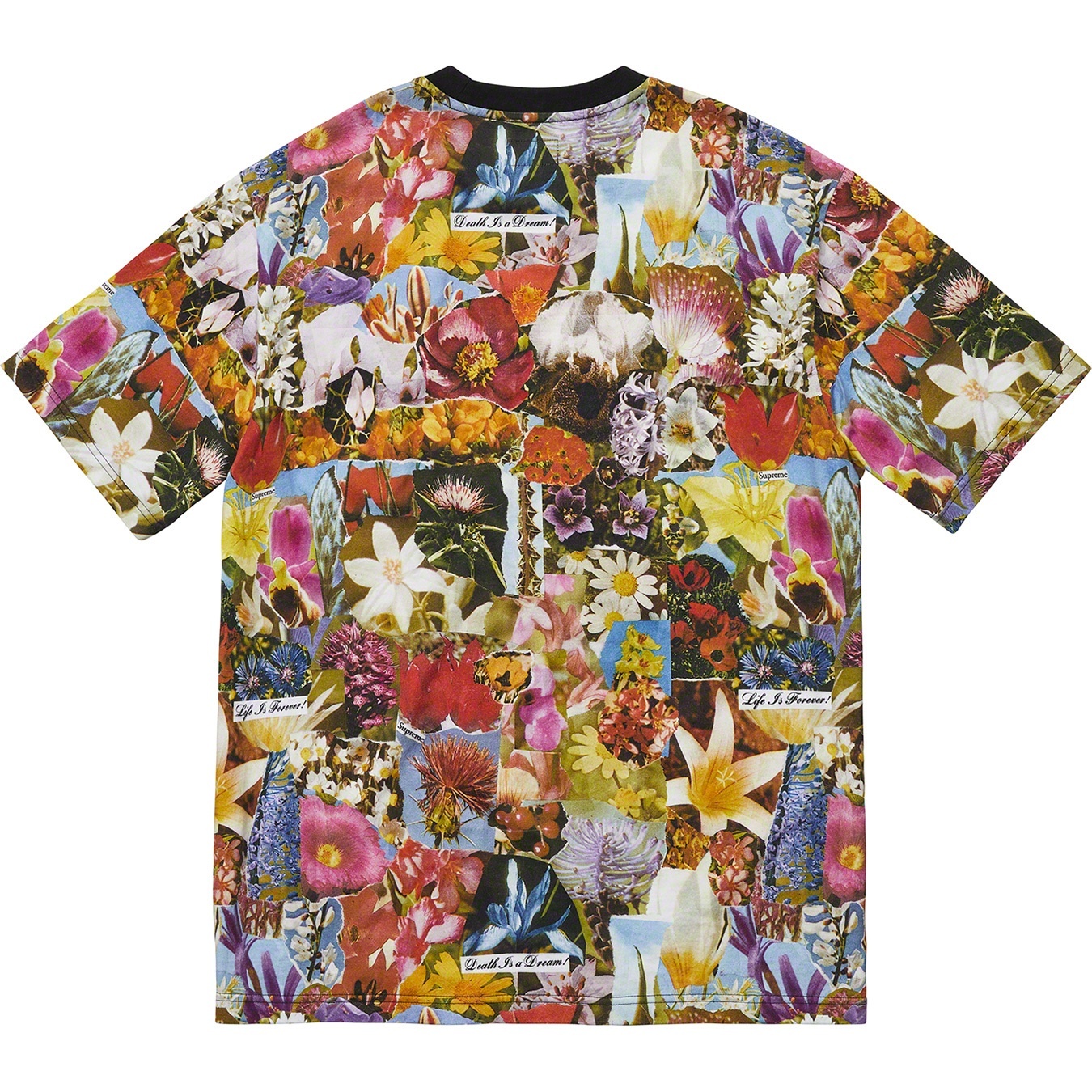 Dream S/S Top view 3